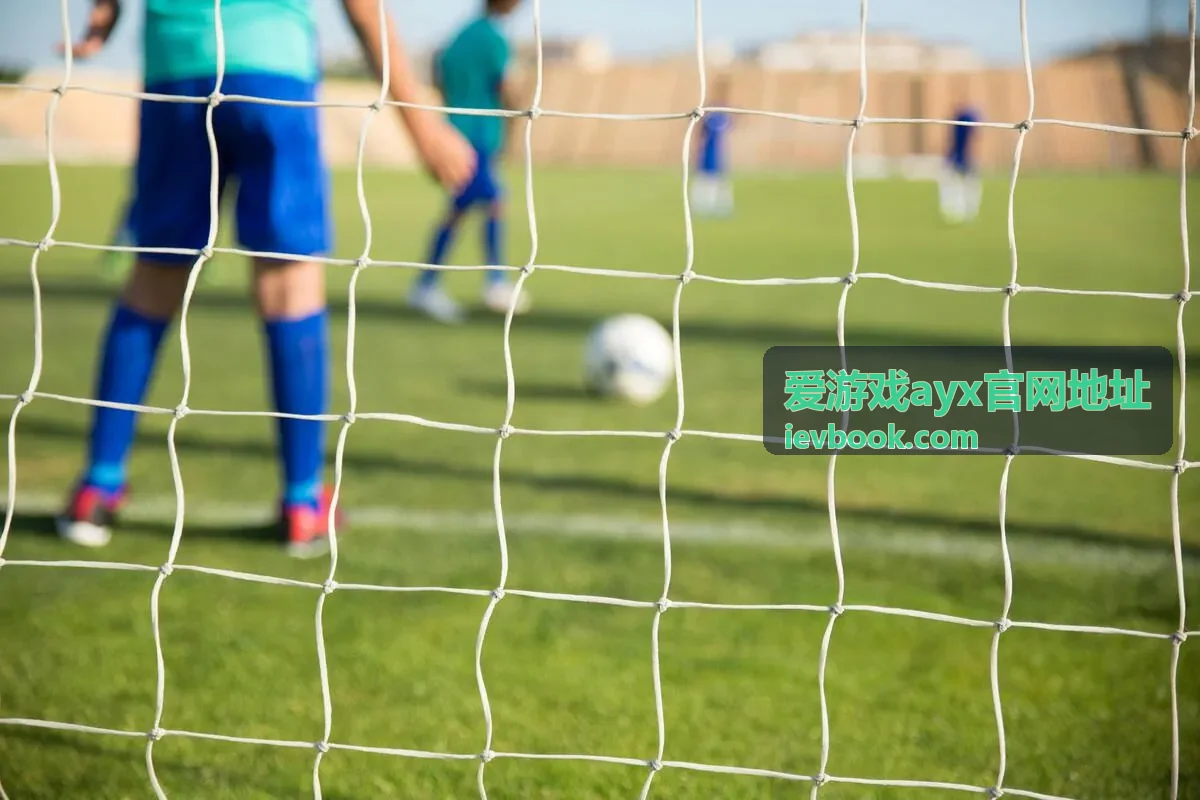 爱游戏ayx官网地址合服排名说明封面